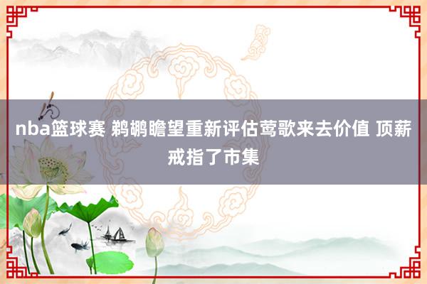 nba篮球赛 鹈鹕瞻望重新评估莺歌来去价值 顶薪戒指了市集