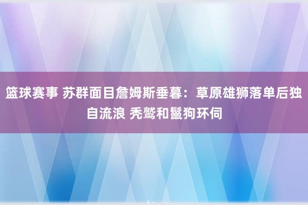 篮球赛事 苏群面目詹姆斯垂暮：草原雄狮落单后独自流浪 秃鹫和鬣狗环伺