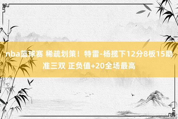 nba篮球赛 稀疏划策！特雷-杨揽下12分8板15助准三双 正负值+20全场最高